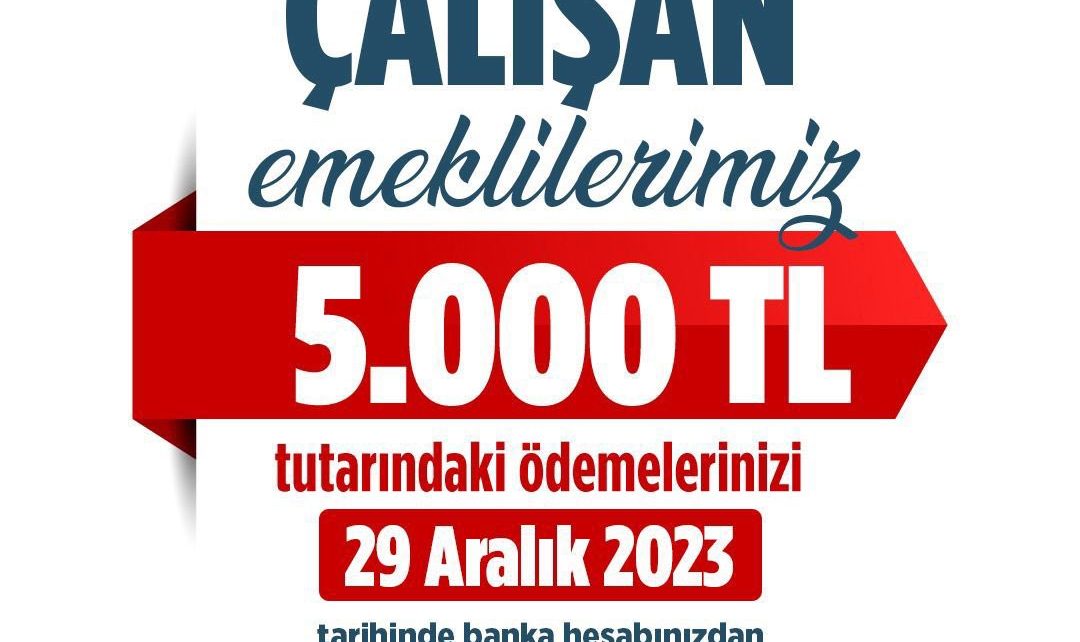 çalışan emekli