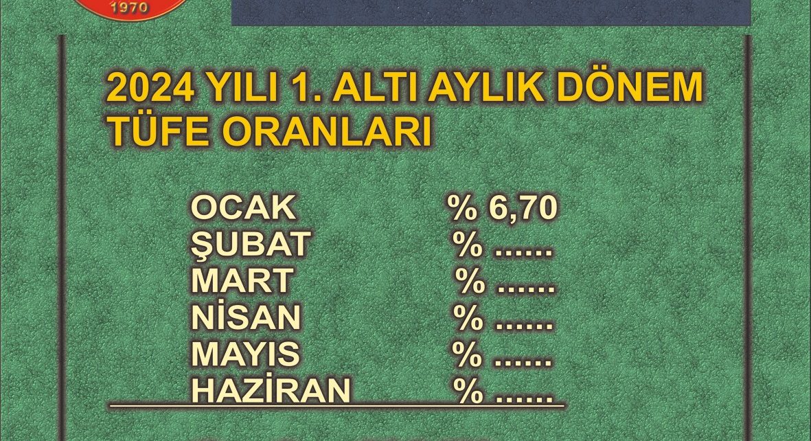 tüik verileri