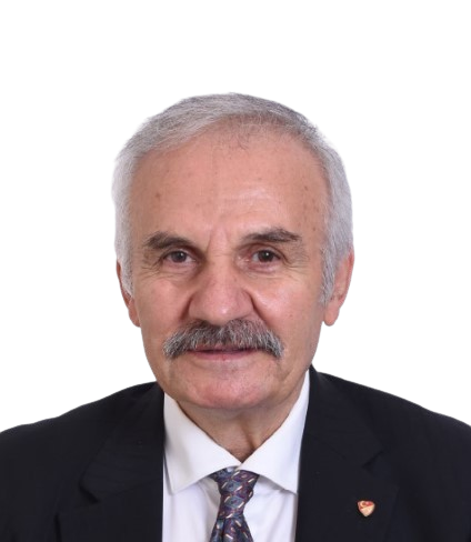 ahmet türkmen